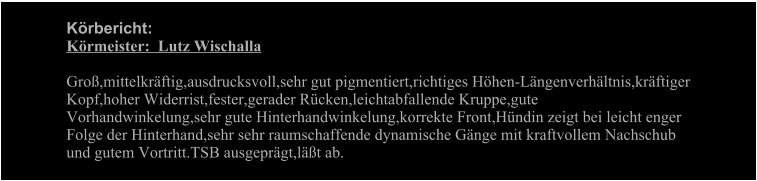 Krbericht: Krmeister:  Lutz Wischalla  Gro,mittelkrftig,ausdrucksvoll,sehr gut pigmentiert,richtiges Hhen-Lngenverhltnis,krftiger Kopf,hoher Widerrist,fester,gerader Rcken,leichtabfallende Kruppe,gute Vorhandwinkelung,sehr gute Hinterhandwinkelung,korrekte Front,Hndin zeigt bei leicht enger Folge der Hinterhand,sehr sehr raumschaffende dynamische Gnge mit kraftvollem Nachschub und gutem Vortritt.TSB ausgeprgt,lt ab.