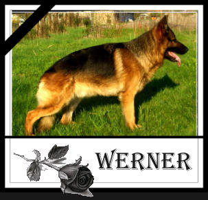 Werner